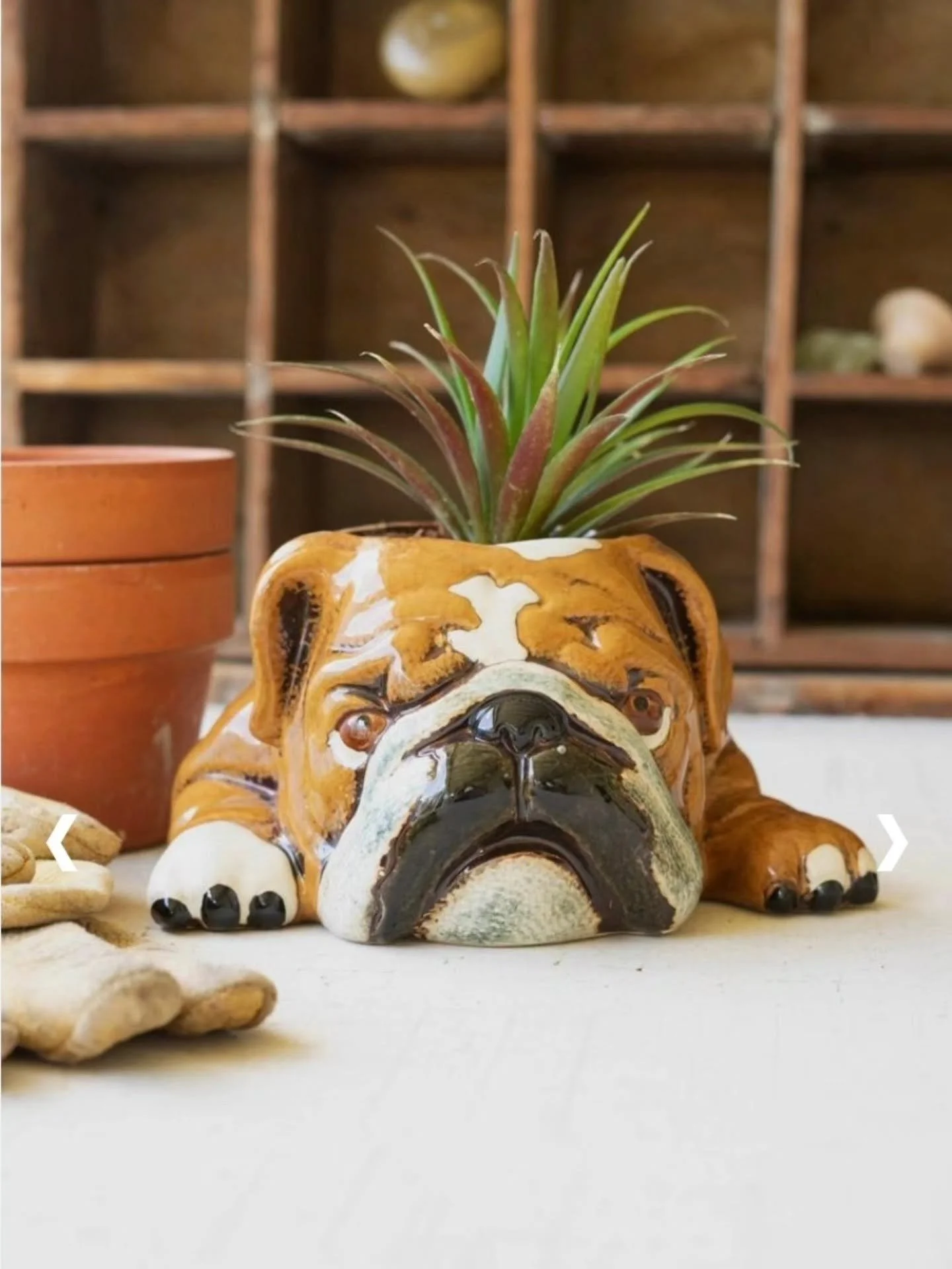 Ceramic Bulldog Planter