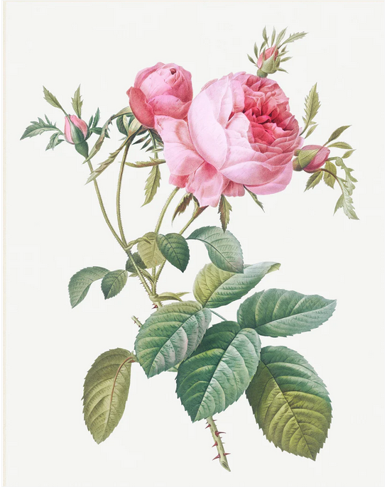 Screenshot 2026-06-05 at 16-24-15 Pretty Flowers - set of 8 flowers designs - Decoupage Paper – Mint By Michelle US.png