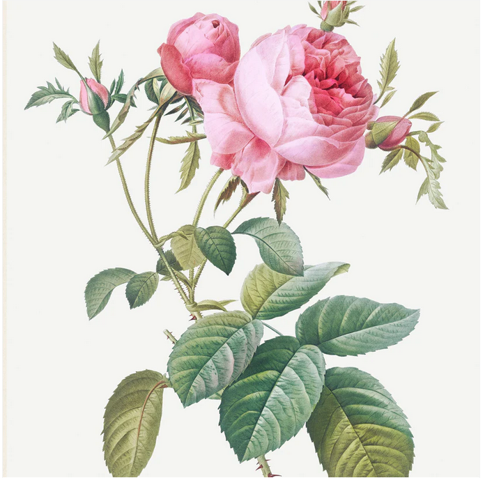 Screenshot 2026-06-05 at 16-24-05 Pretty Flowers - set of 8 flowers designs - Decoupage Paper – Mint By Michelle US.png