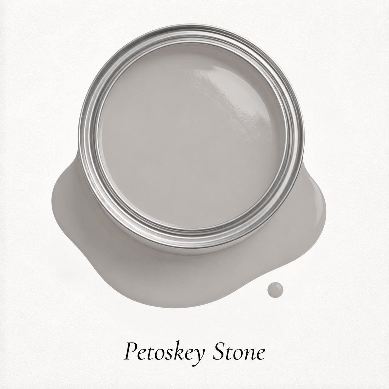 Petoskey Stone.png