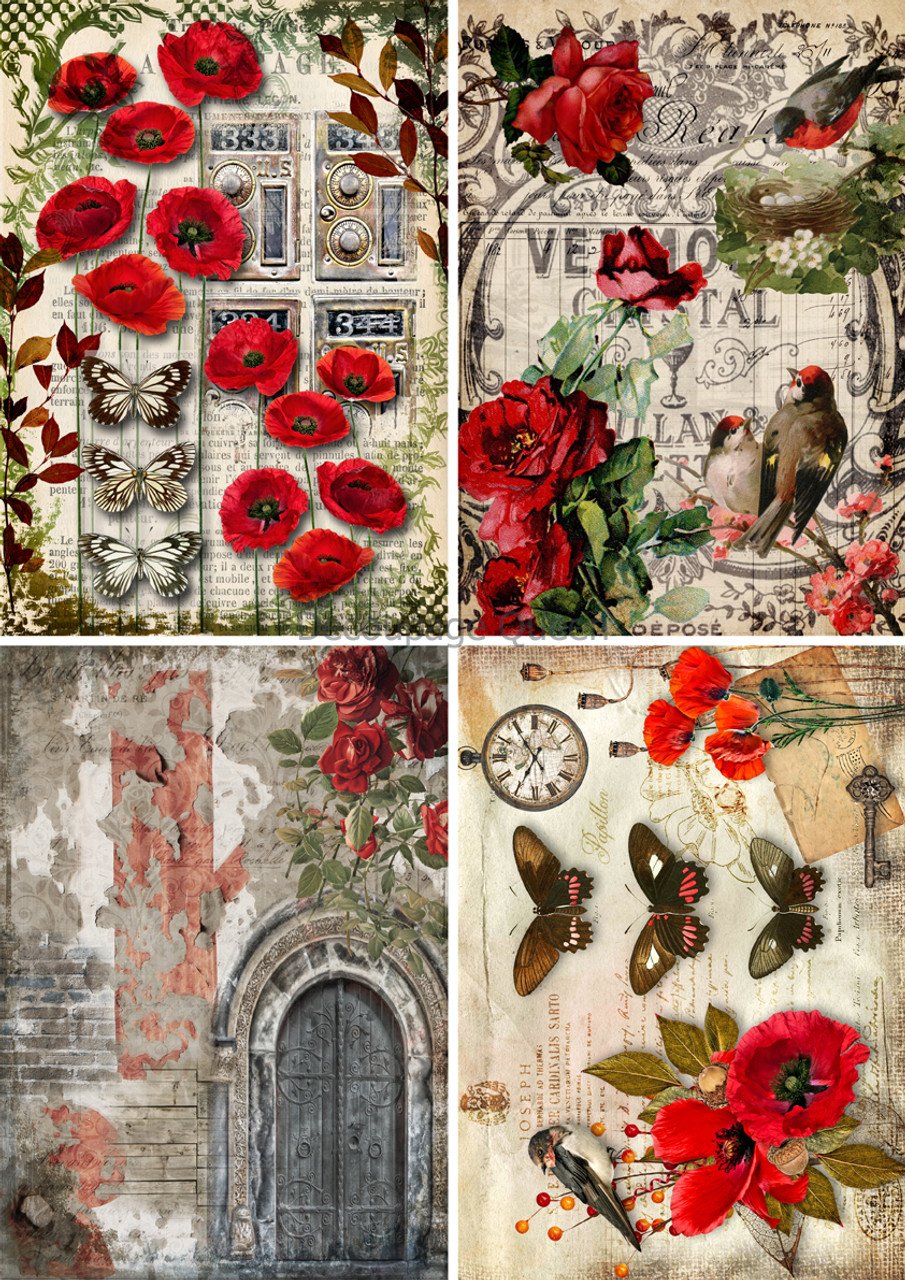 DQRP_0655_-_Roses_and_Poppies_4_Pack__31564.jpg