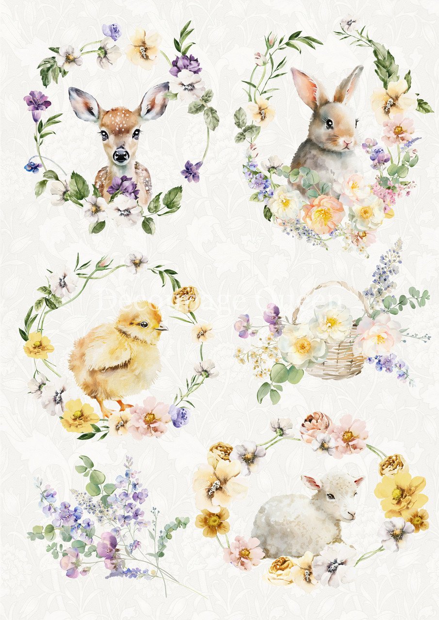DQRP_0728_Spring_Animals__24830.jpg