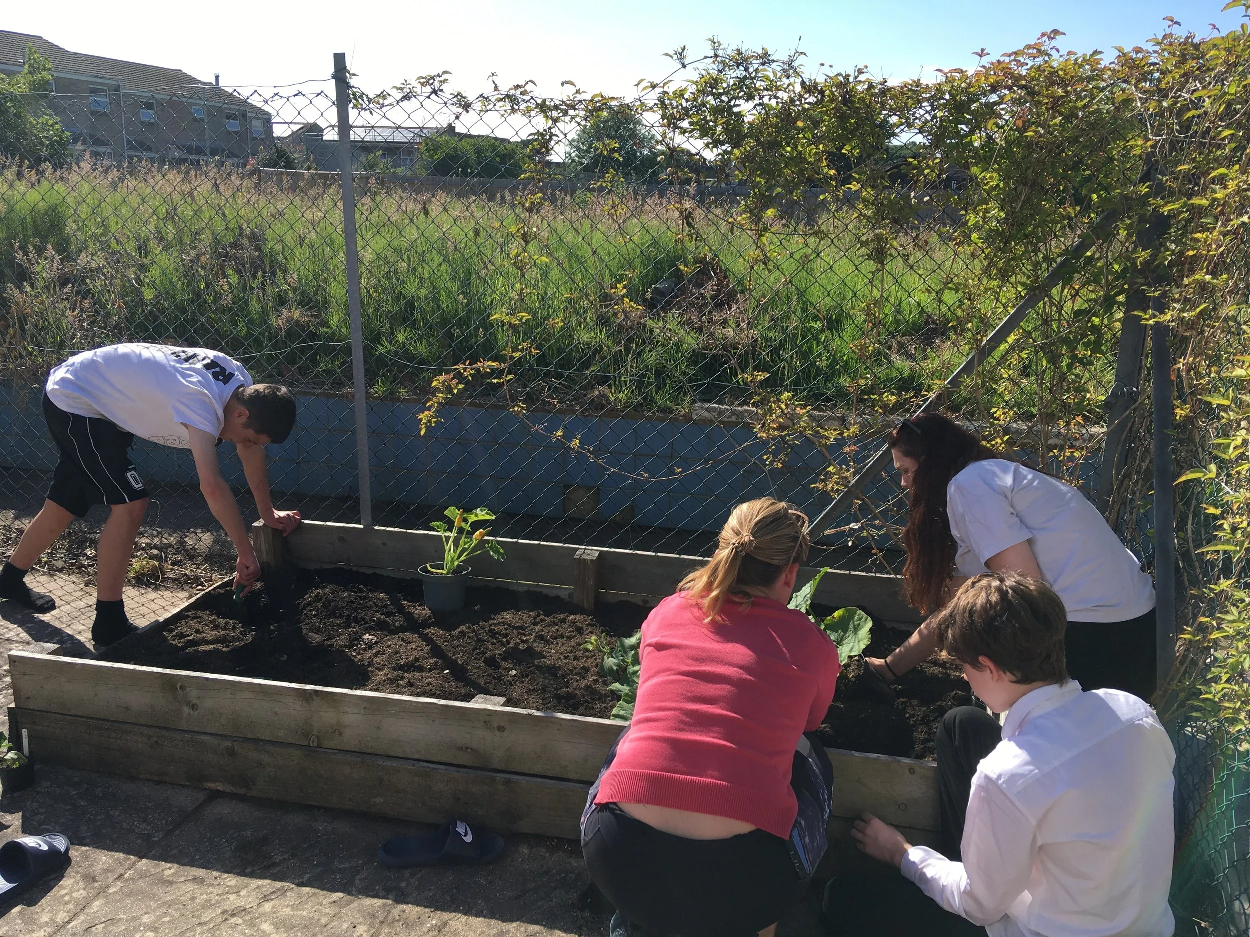 Cornerstone Patch Progress