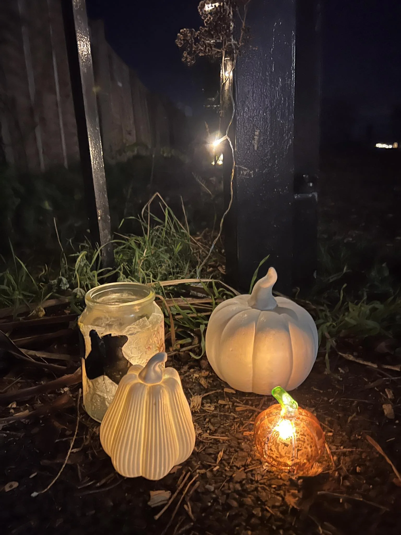 Garden Glow Lights Up the Season with Community, Warmth and Wonder