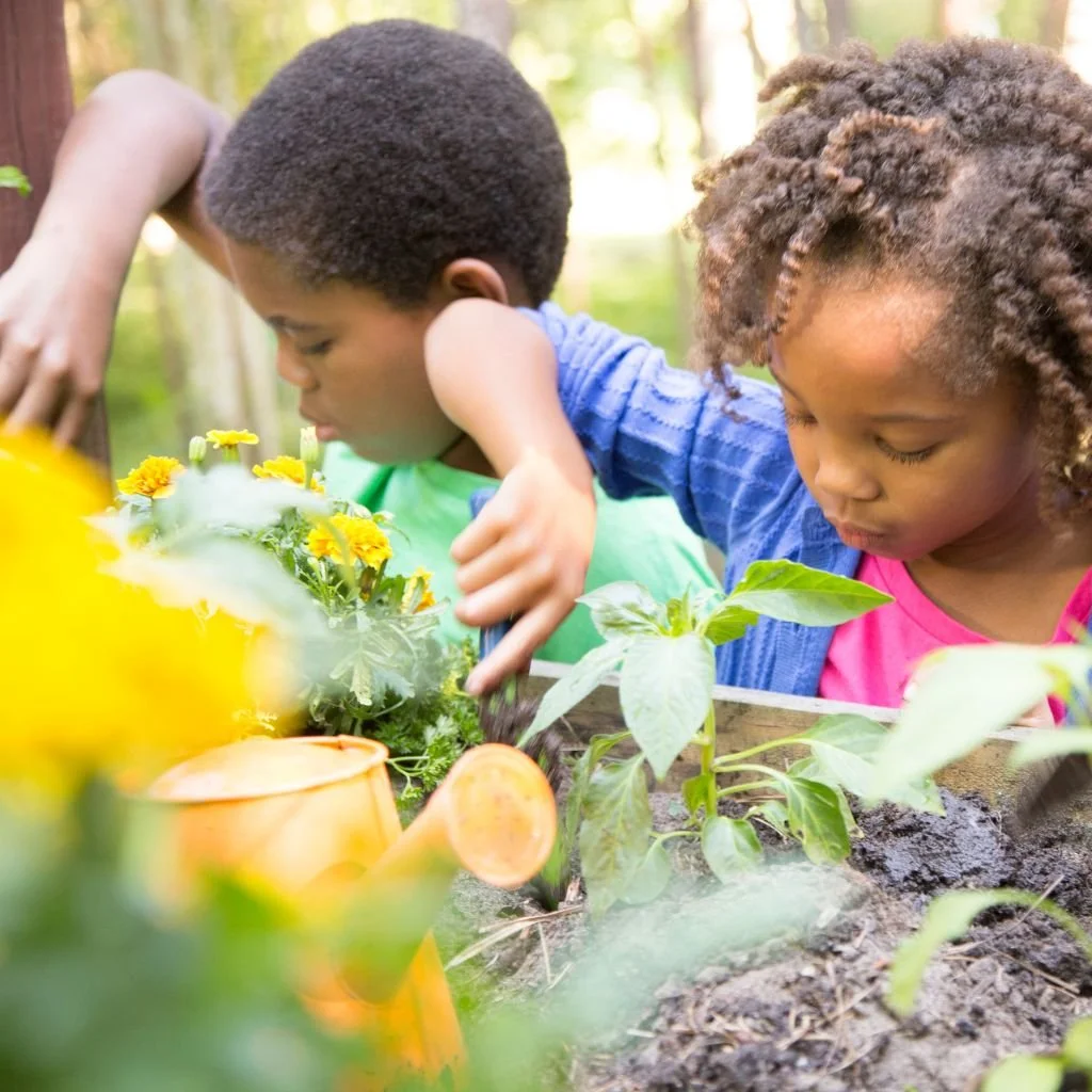 Bio Blast – Explore, Discover &amp; Connect with Nature 🌱