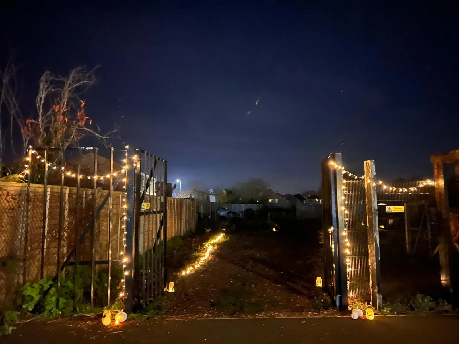 Cornerstone Patch Garden Glow.webp