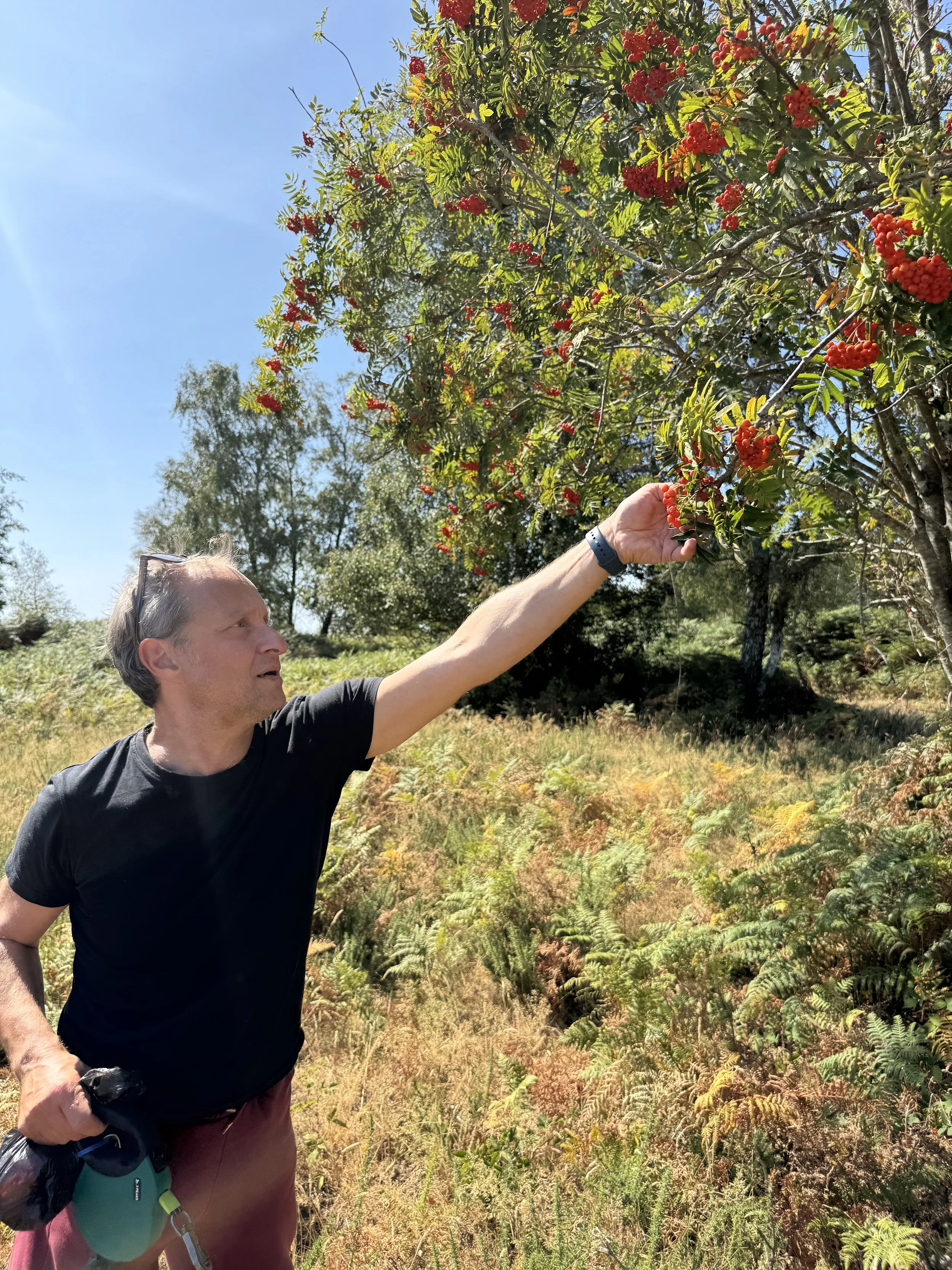 Forage &amp; Feast: discover the wild food on our doorstep