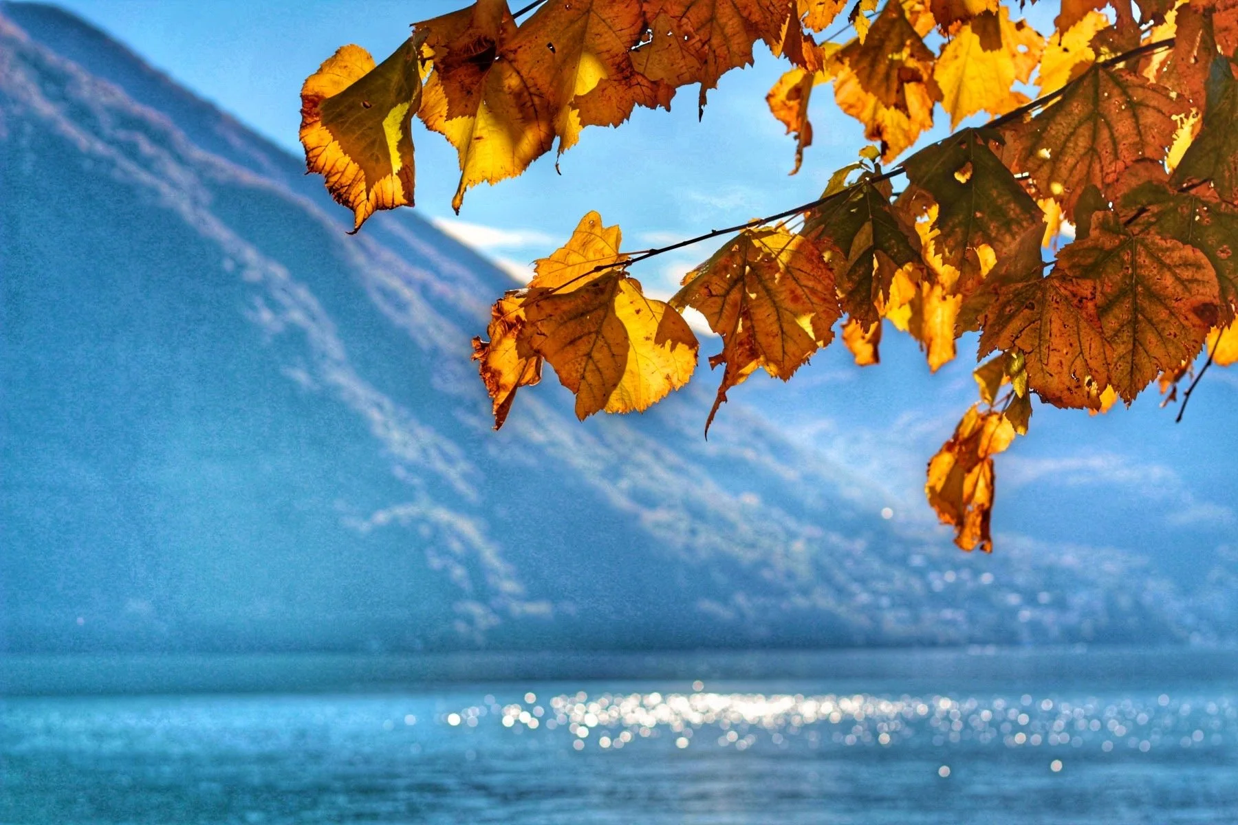 5 Spectacular Locations To Enjoy The Foliage Magic at Lake Como and Surroundings
