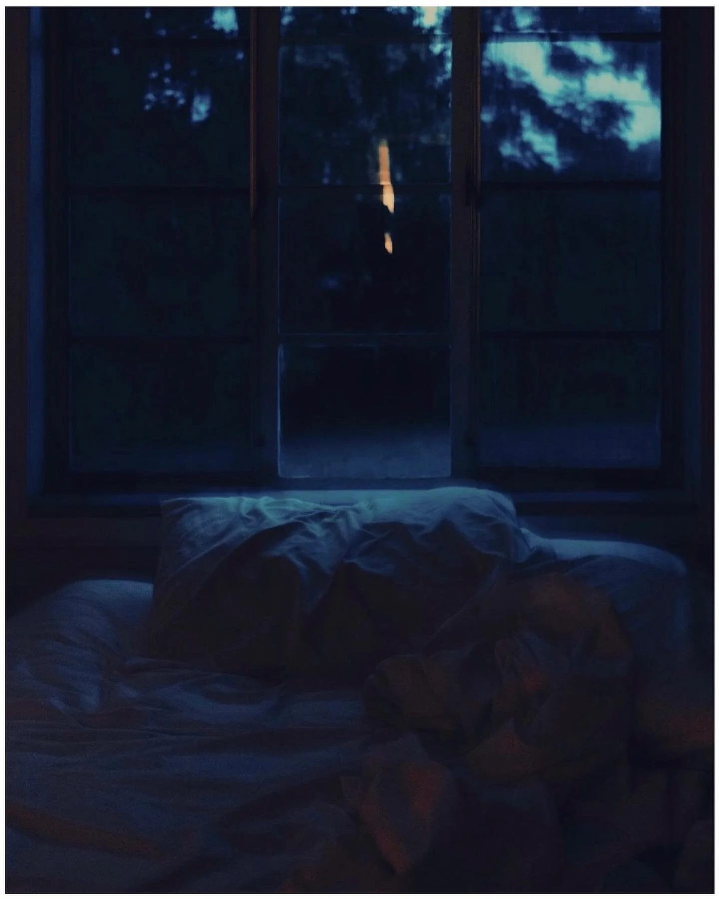 Nightfall 

Do you recall
the scent of the earth 
soft and sweet 
as we sat amongst the glow
they were shifting, gliding 
weightless
you were still 
palms stained with earth 
blue light leaking through the trees

#recycledwords #lastlight #nightfall 