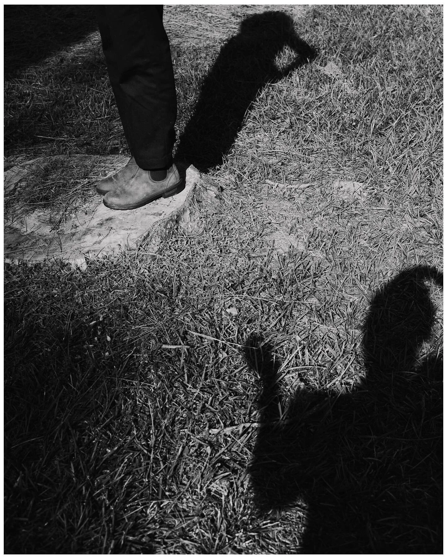 Everything requires gentleness 

December 2022 

#girlgaze #muse #sister #homeisafeeling #womenphotograph #canon #50mm #wintering @ameliaclimbs