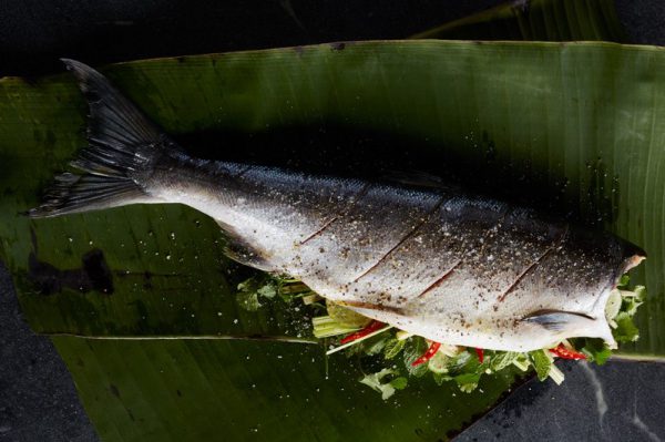 salmon-grilling-598-600x800-e1489092825377.jpg