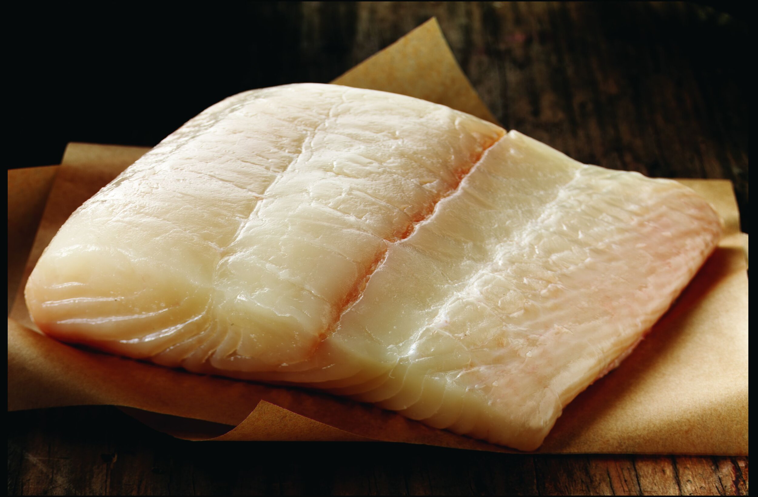 Halibut