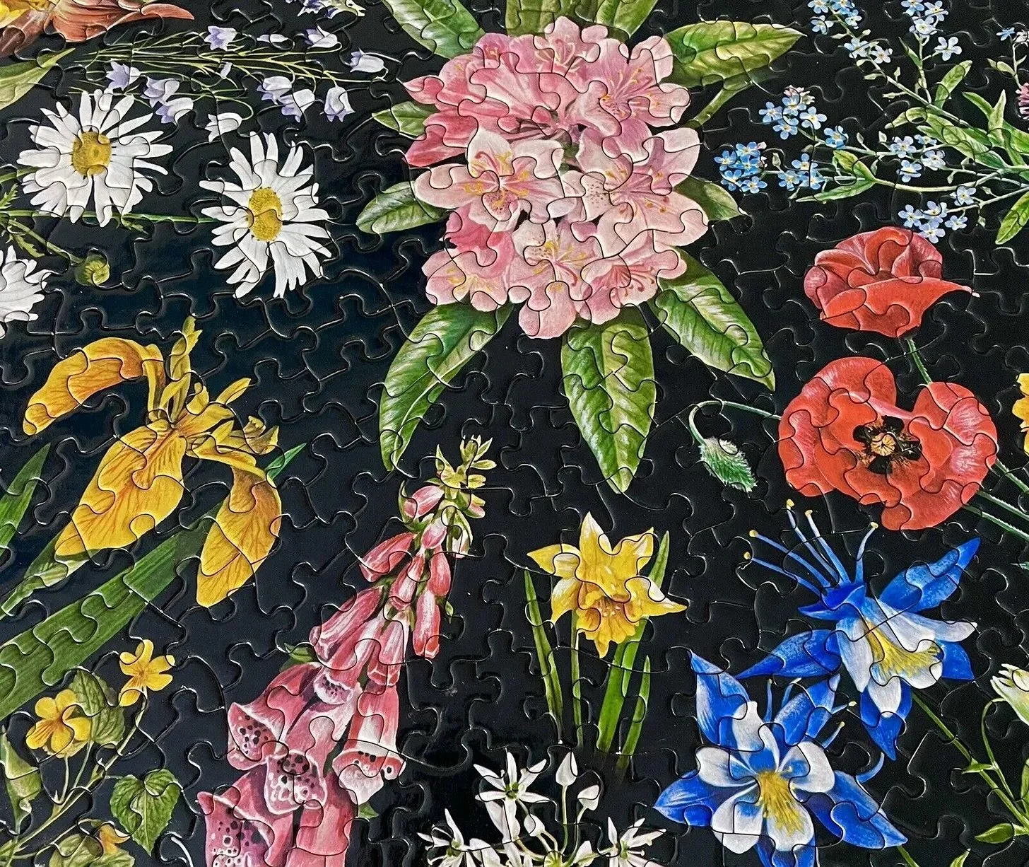 In the Company of Ghosts