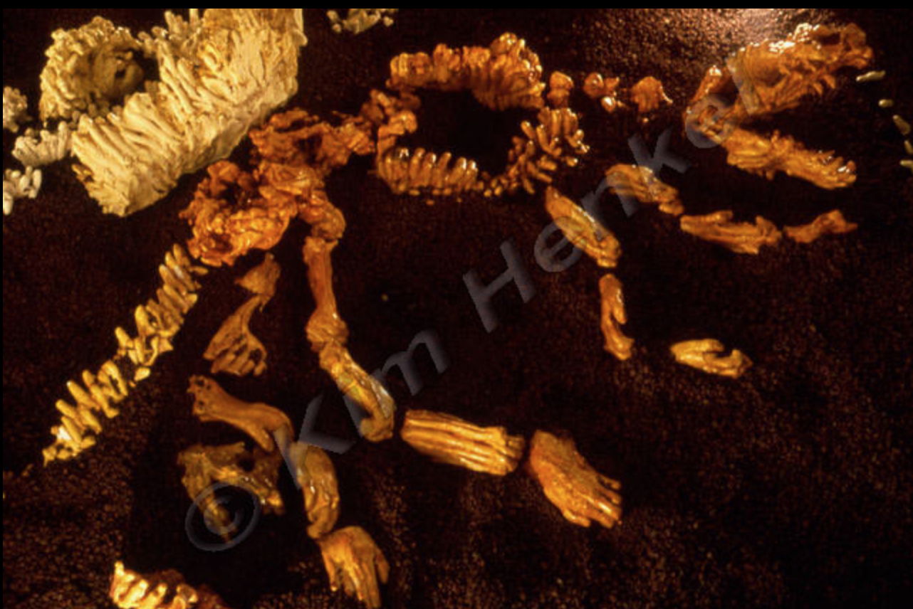 "Excavation"