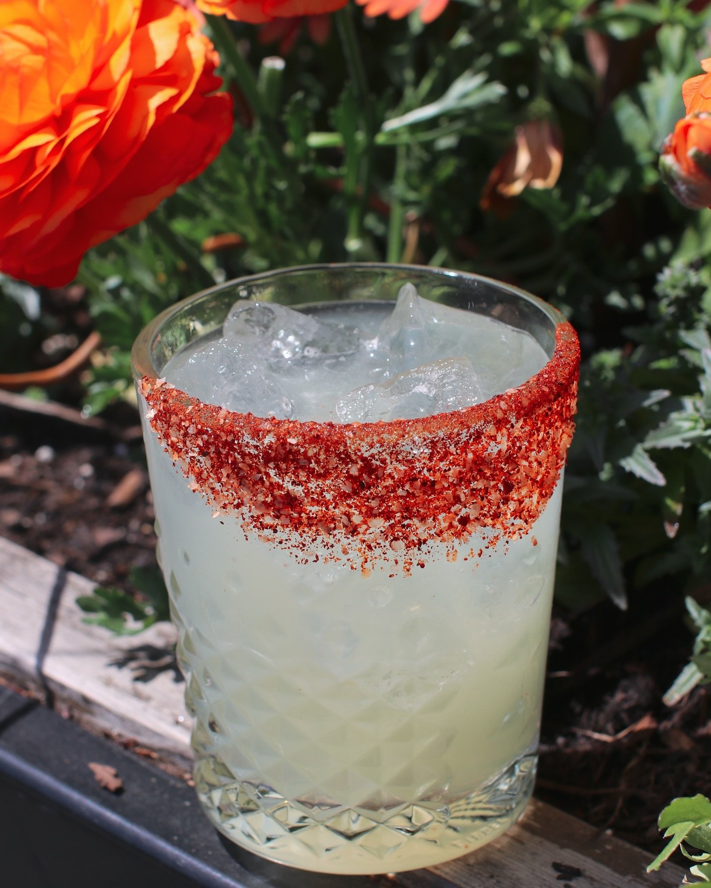 Spice up your Cinco de Mayo with our Habanero Margarita 🌶️🍹