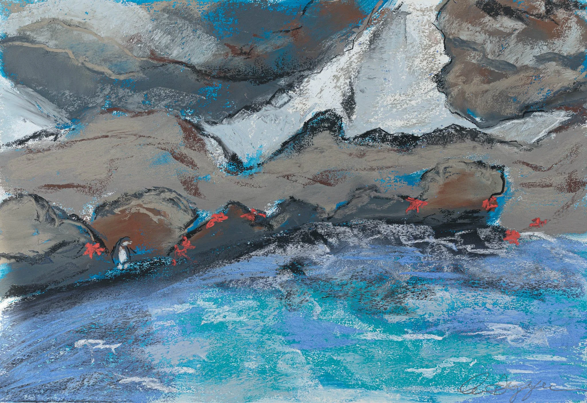 Sally Lightfoot Crabs 1