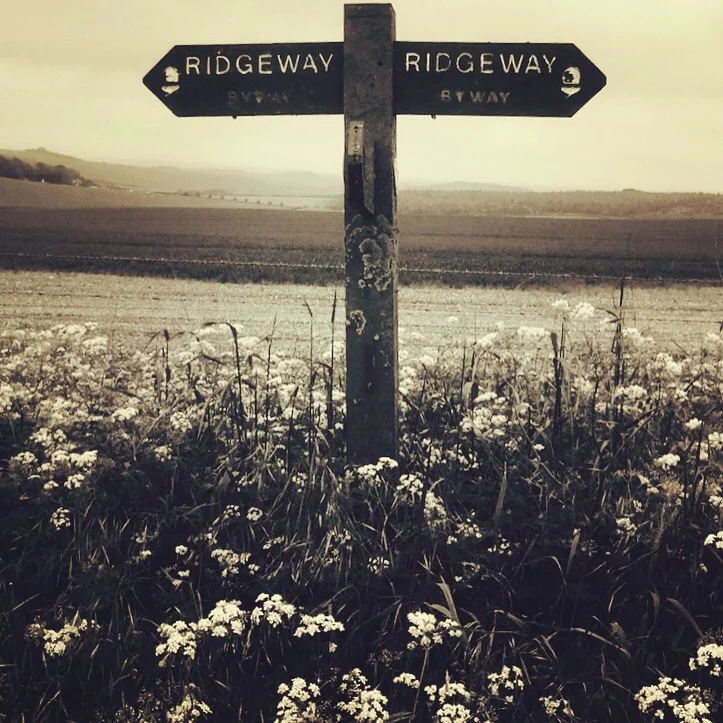 Martin-Lewis-foto-nature-ridgeway-Wilts_6805.JPG