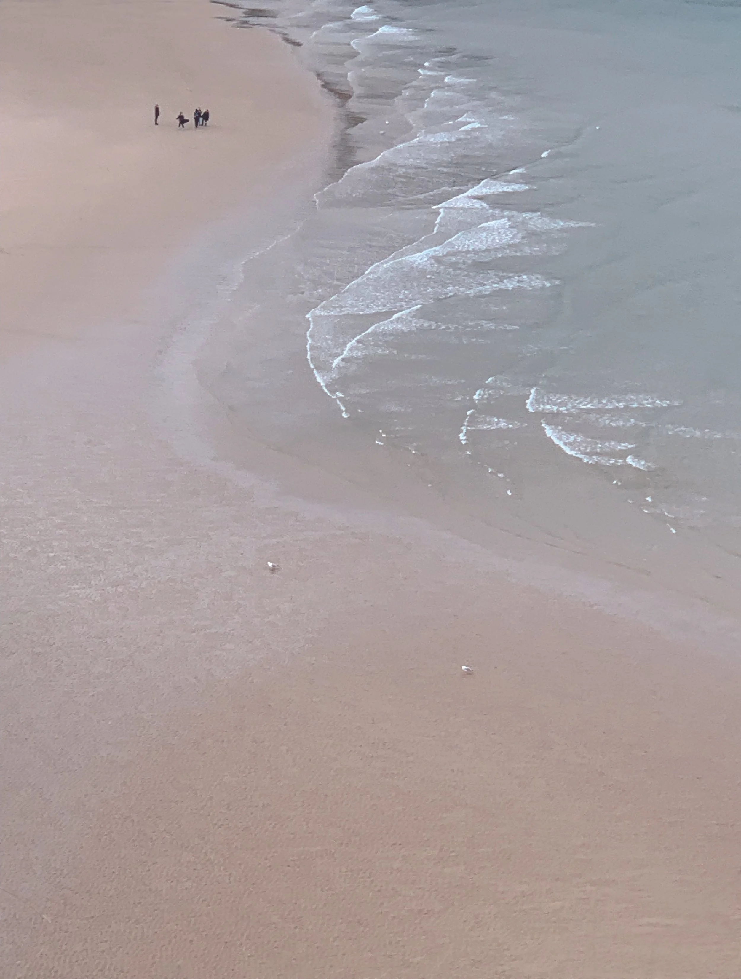Whitesands_Beach_Family_8988.jpg