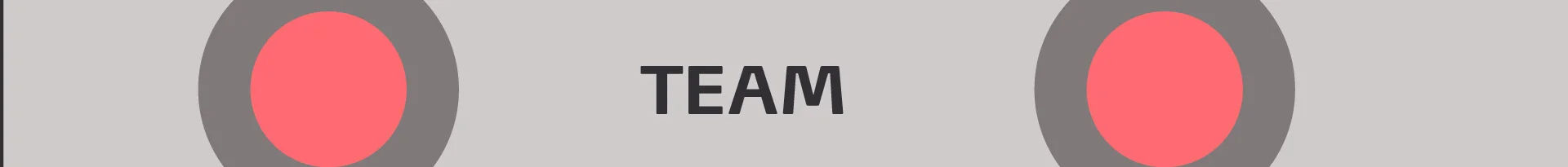 TEAMPrancheta 1-80.jpg