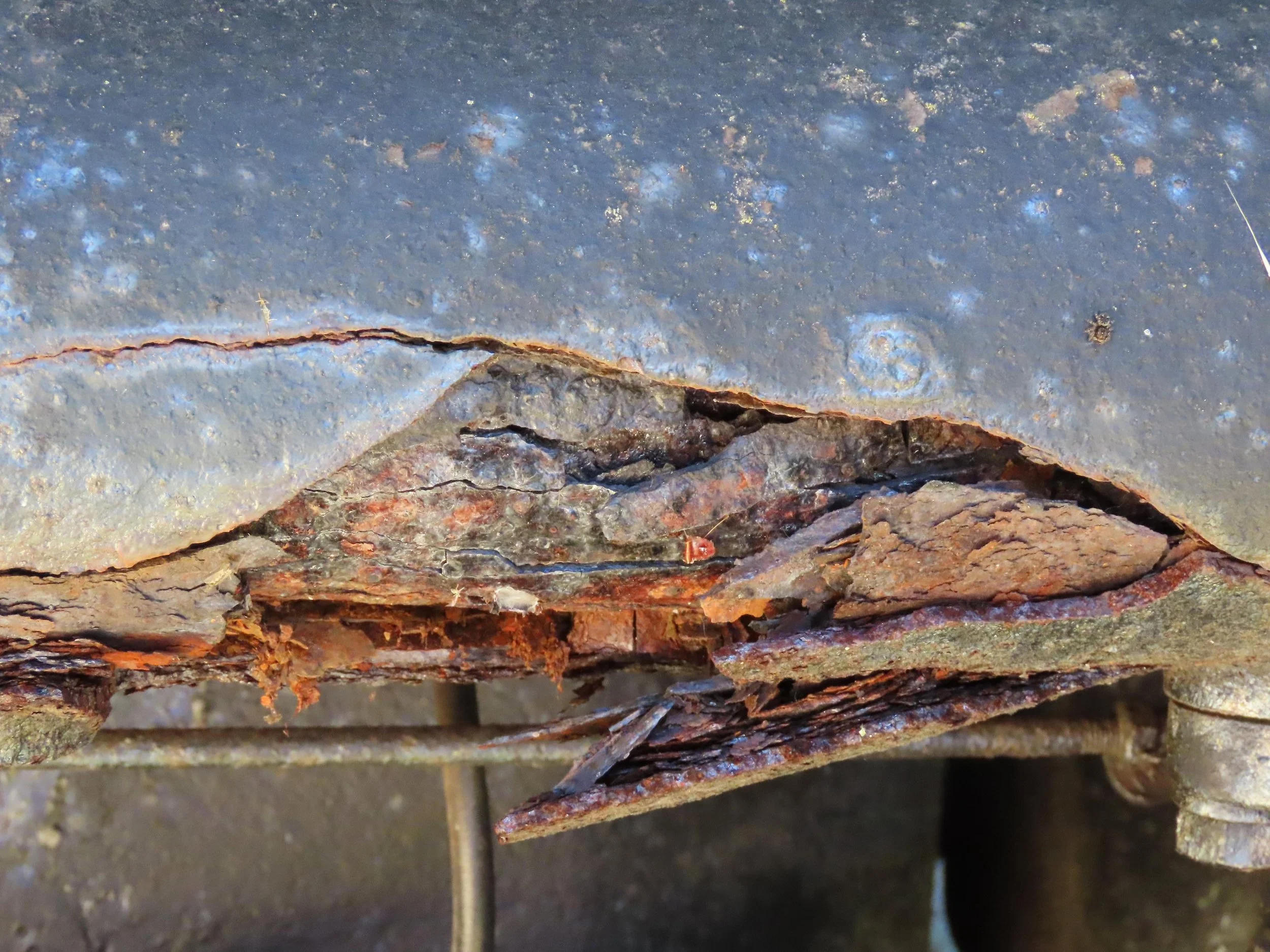 Dead Bodies of Water