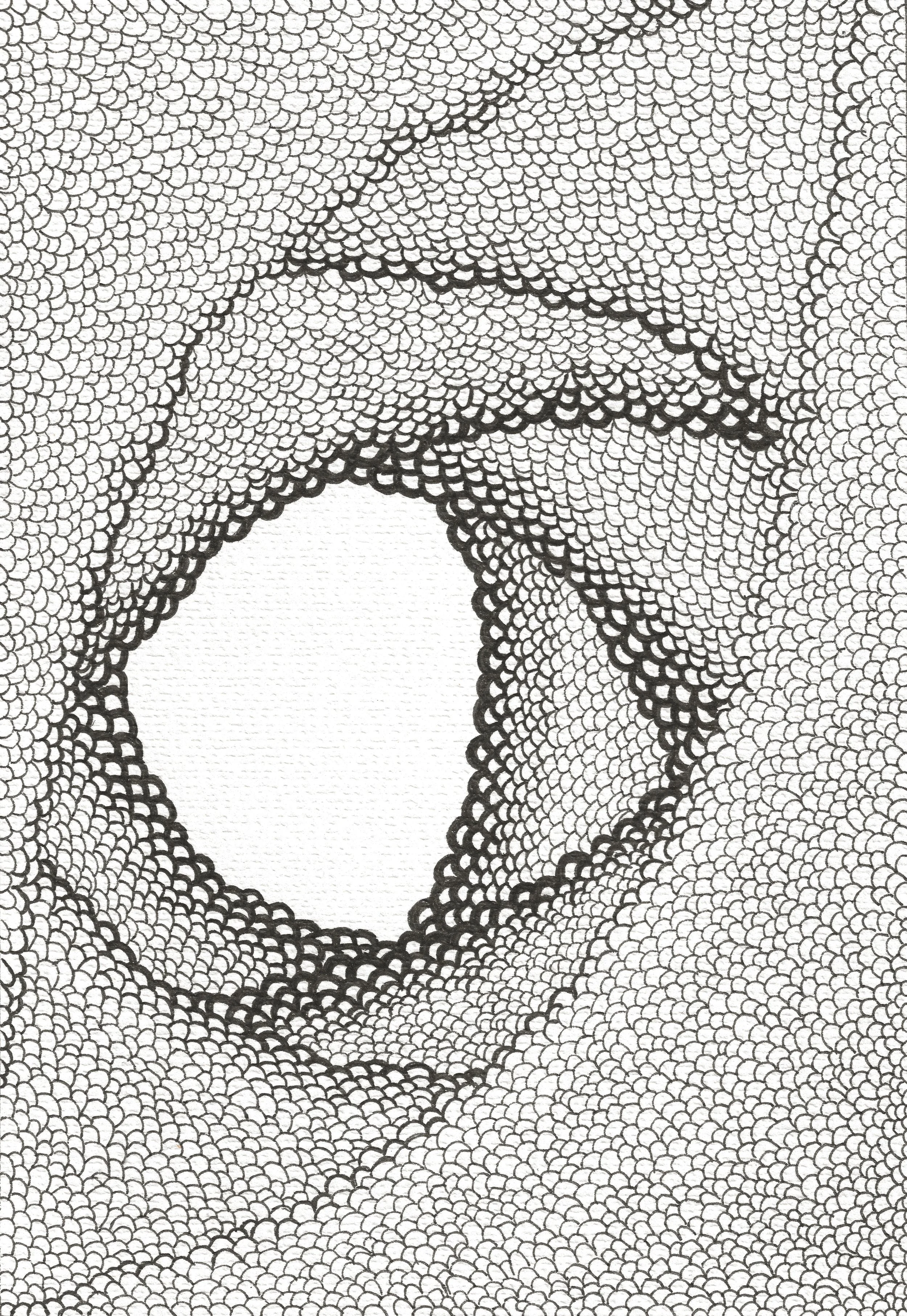 Black & white illustration containing reptile-like, textured, layered surfaces.
