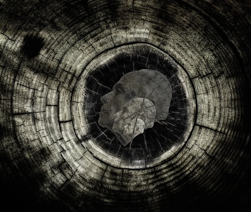 A spiral of rock around a dark center. In the dark center are the carvings of three human heads in profile, tilted slightly upwards with open mouths