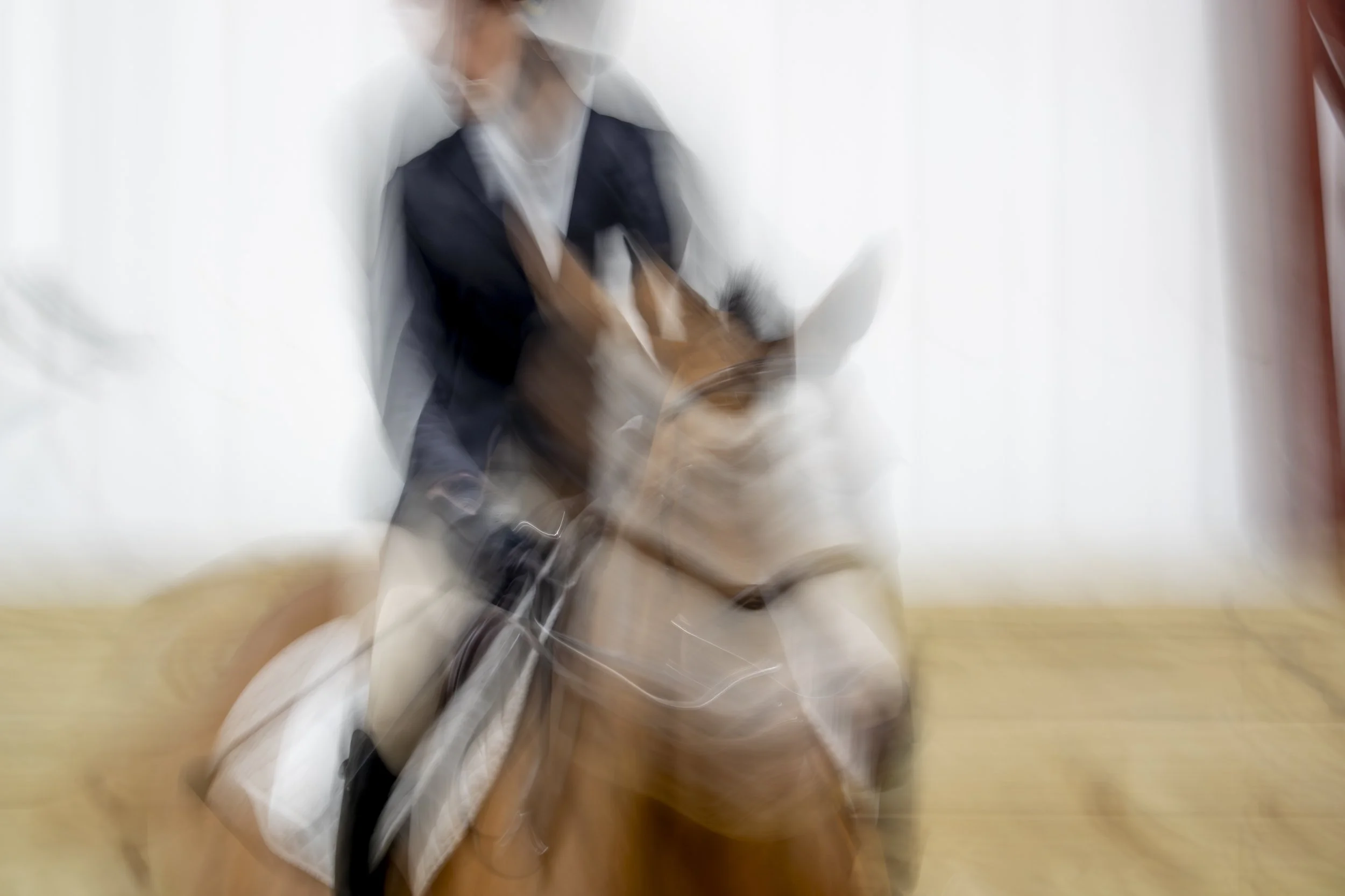 A blurred photograph of a person in an equestrian hat, blazer, pants, and boots holding a riding crop is seen from the front. The rider looks left and clutches the reins of a black and white horse against a grey sky and brown earth.