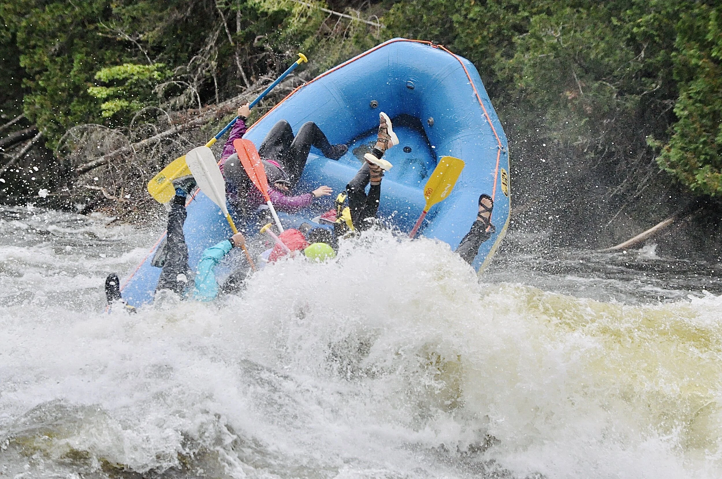 DSC_4070.jpg