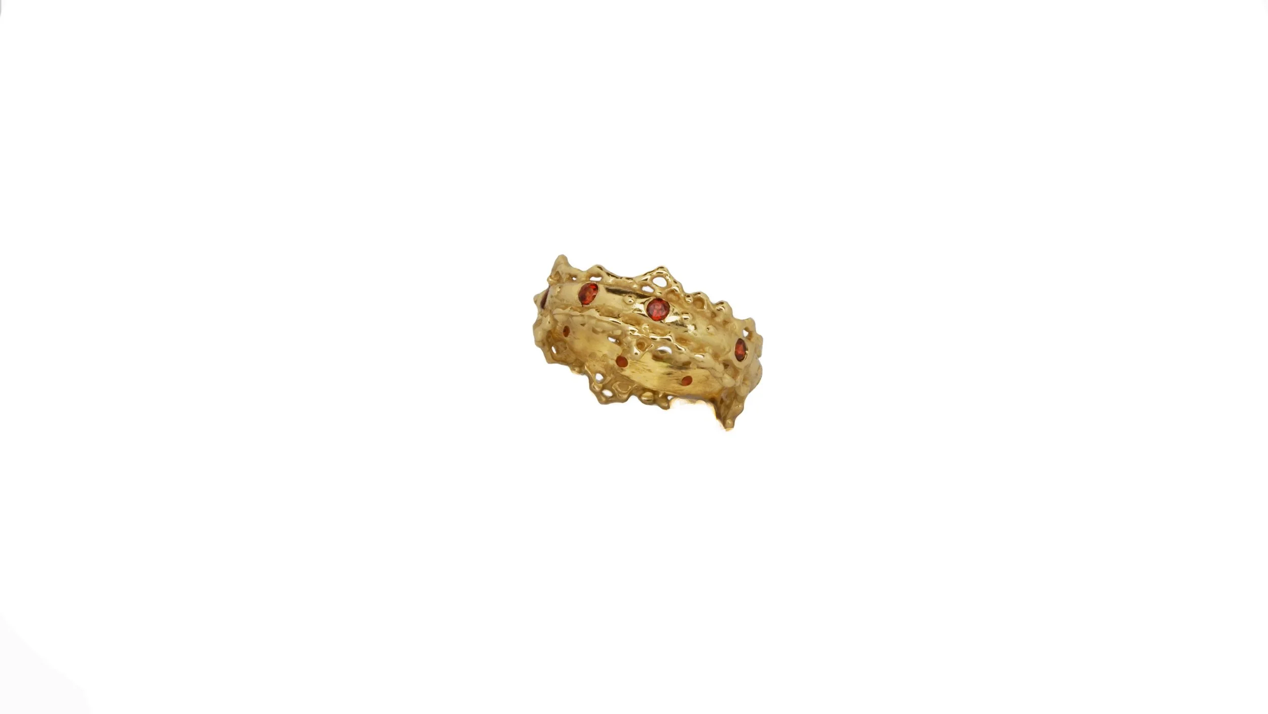 @bDSC01582-Recovered-Recovered.jpg