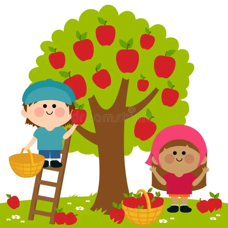 K-apple-picking.webp