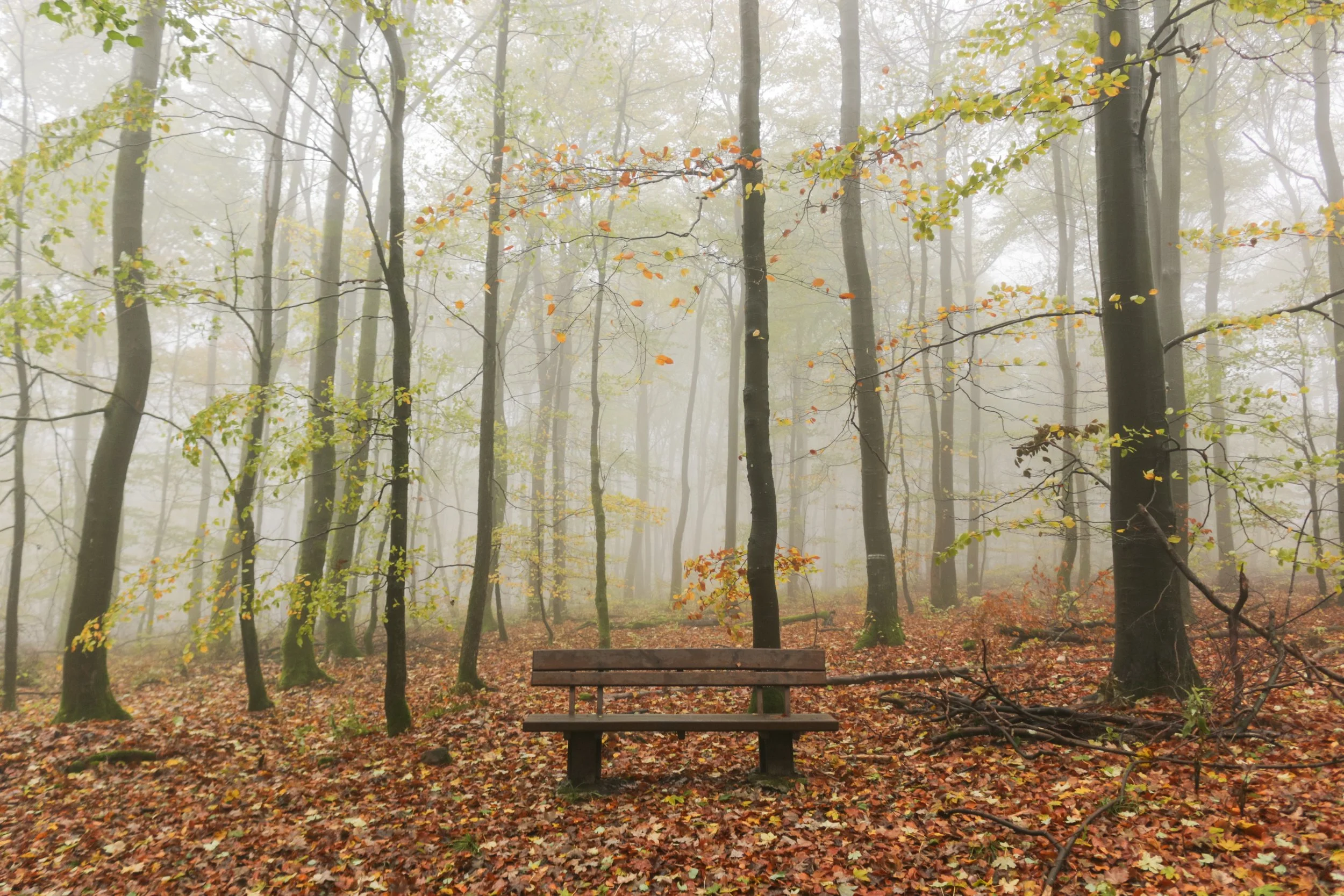 Are you spending time in nature?