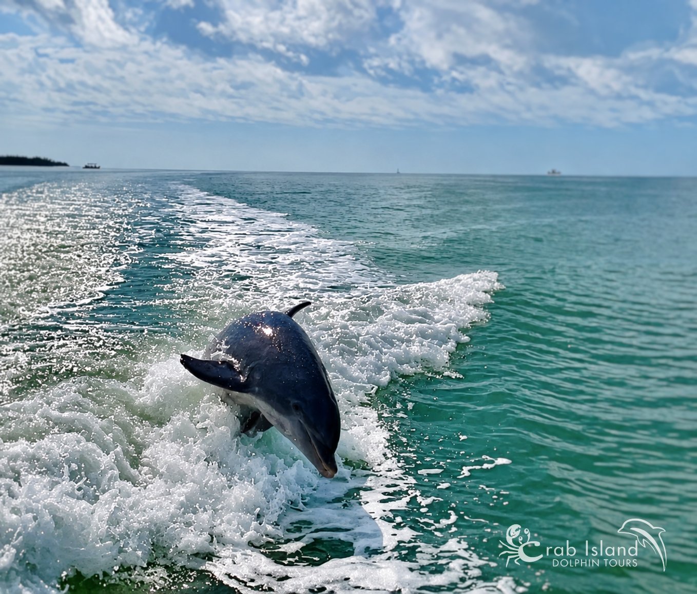 This is the kind of moment you hope for every time you head out on the water. 🐬

Seeing dolphins swimming together in Destin&rsquo;s emerald water never gets old, and experiencing it from a private boat makes it even better.

No crowded tour boat. N