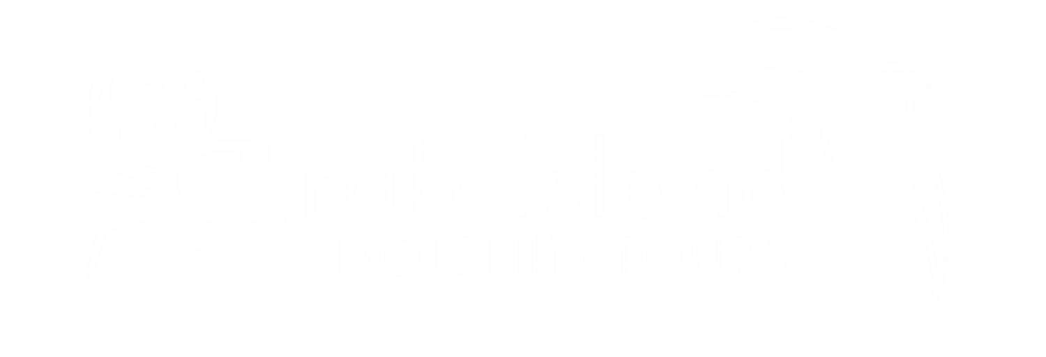 Crab Island Dolphin Tours