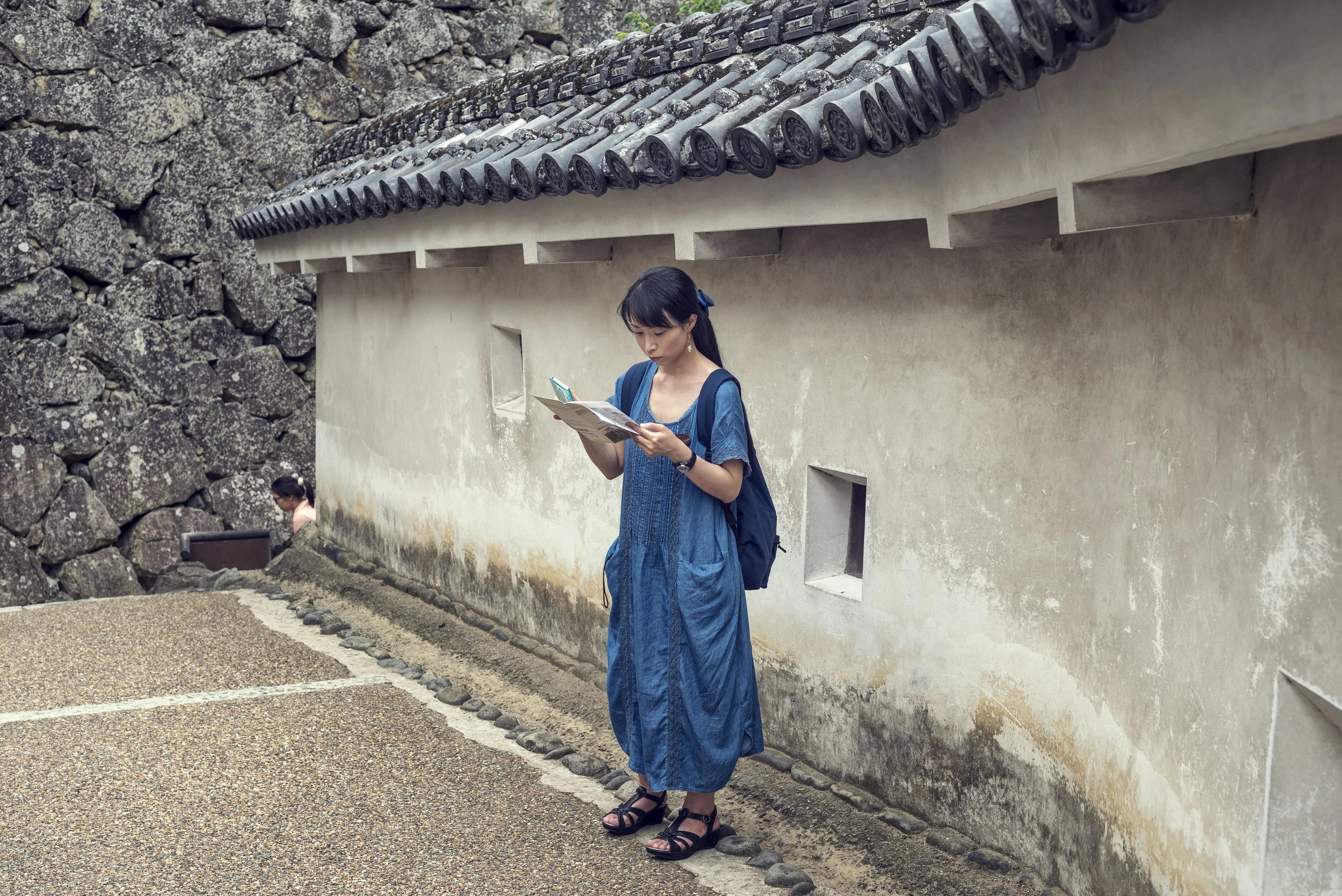 Castillo de Himeji.jpg