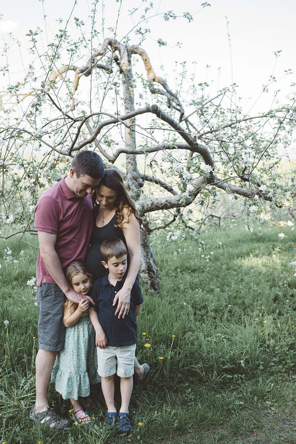 Vermont family photography 
