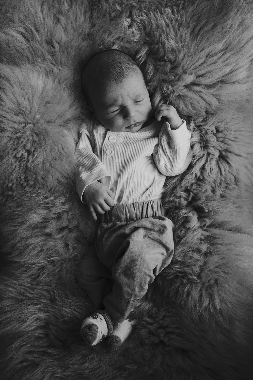 Vermont newborn photographer / Felix newborn session