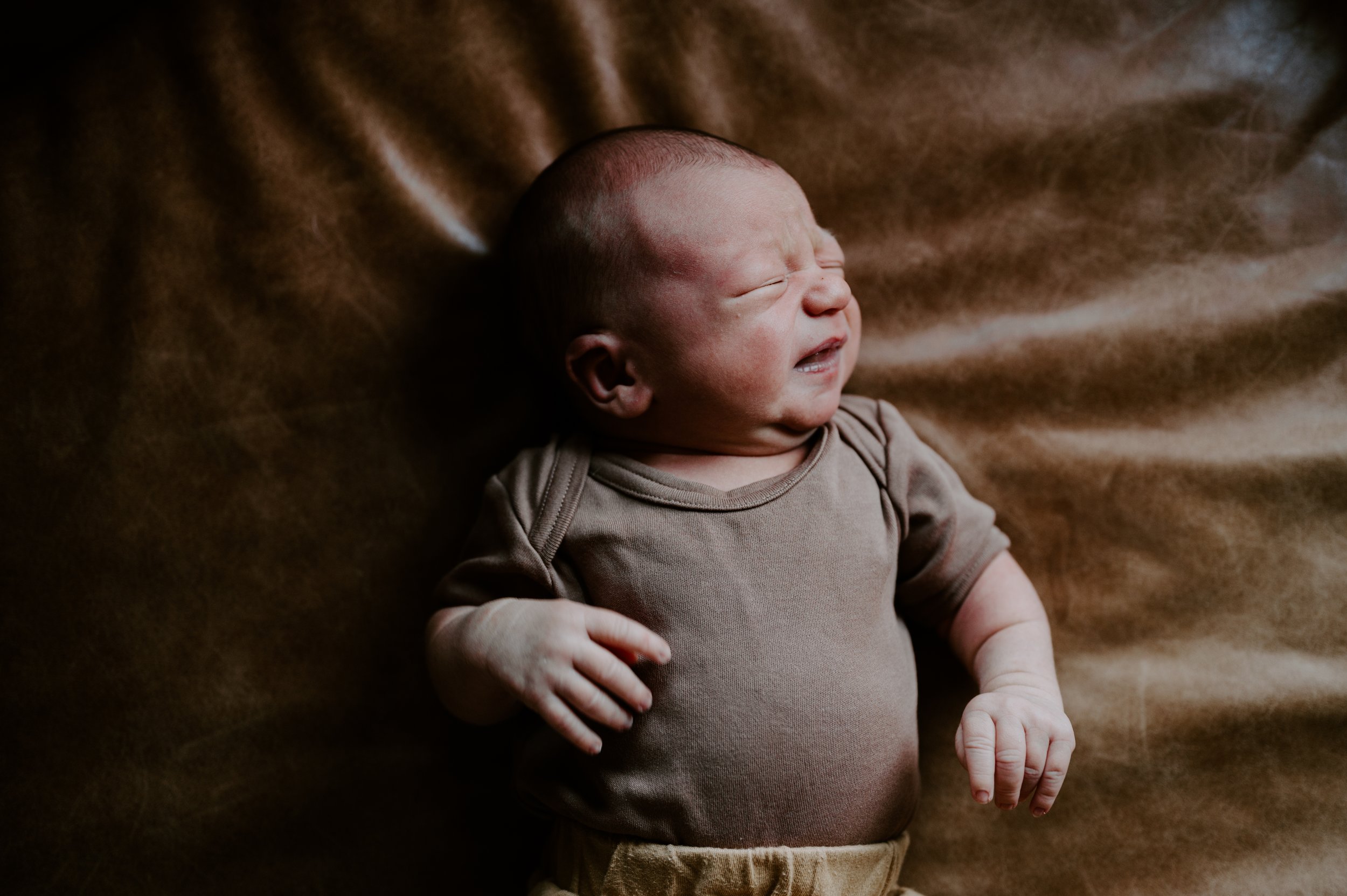  Stowe Vermont newborn photographer 