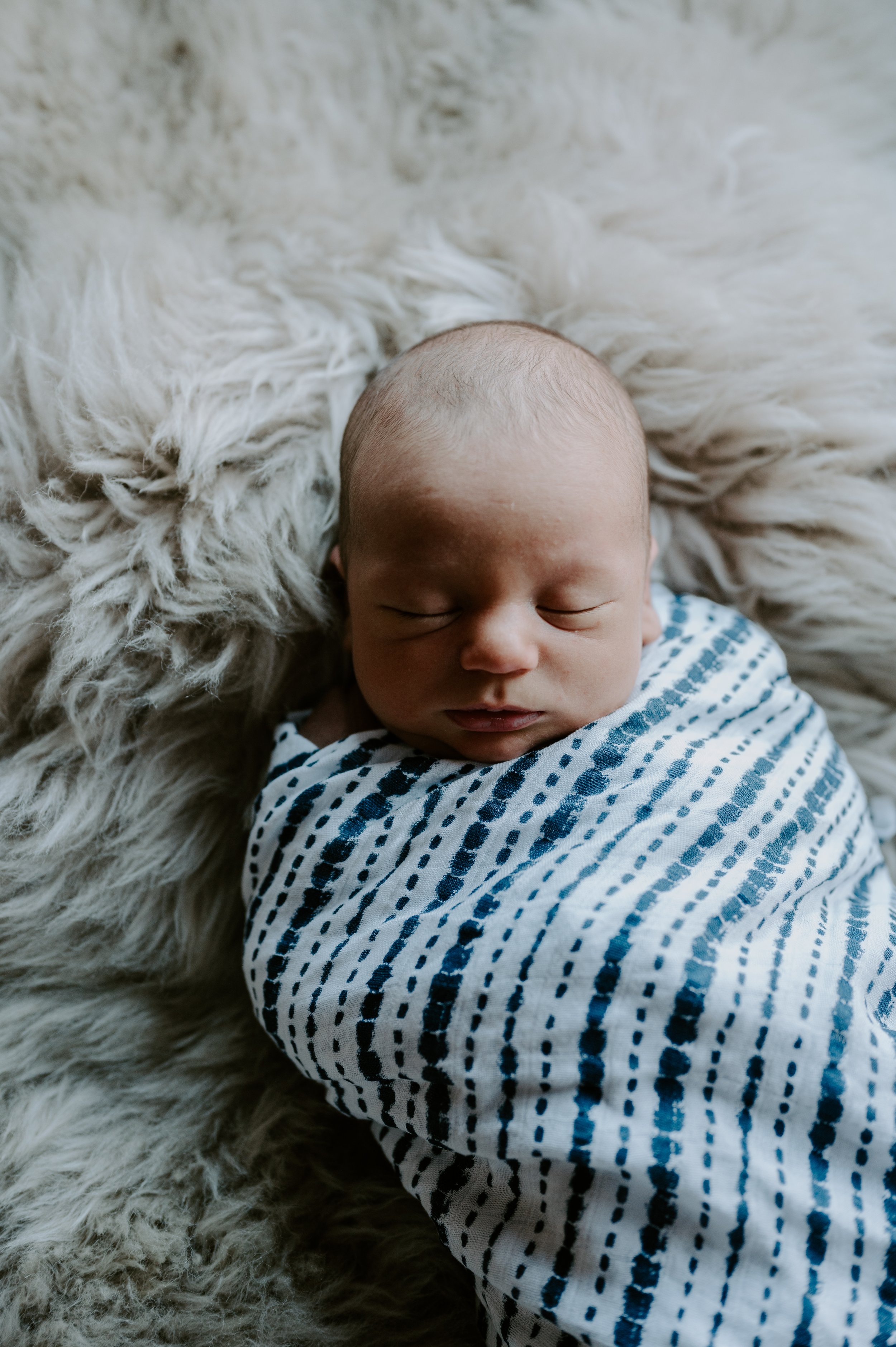  Vermont and Boston newborn photographer 