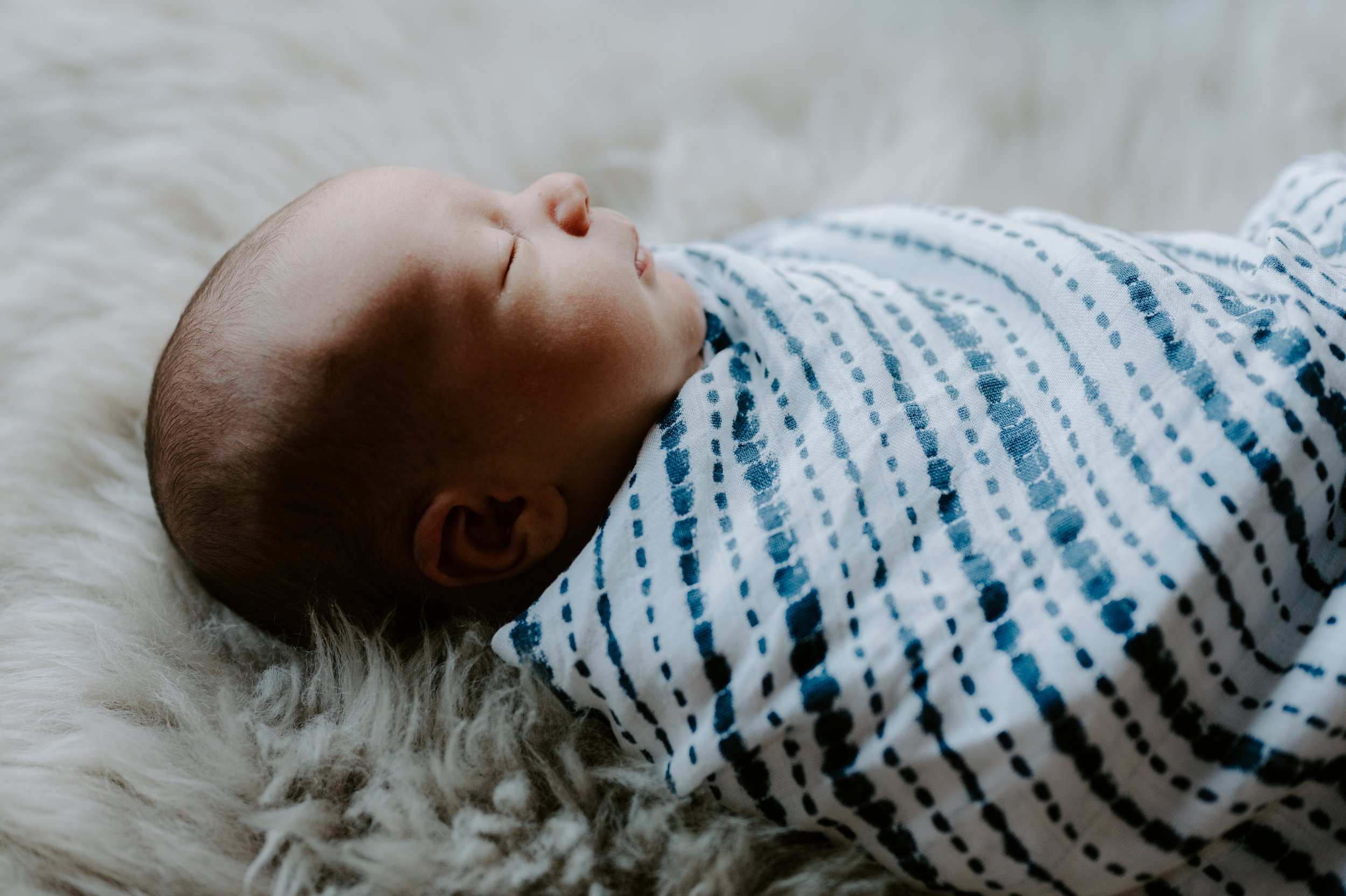 Best newborn photographers in Vermont
