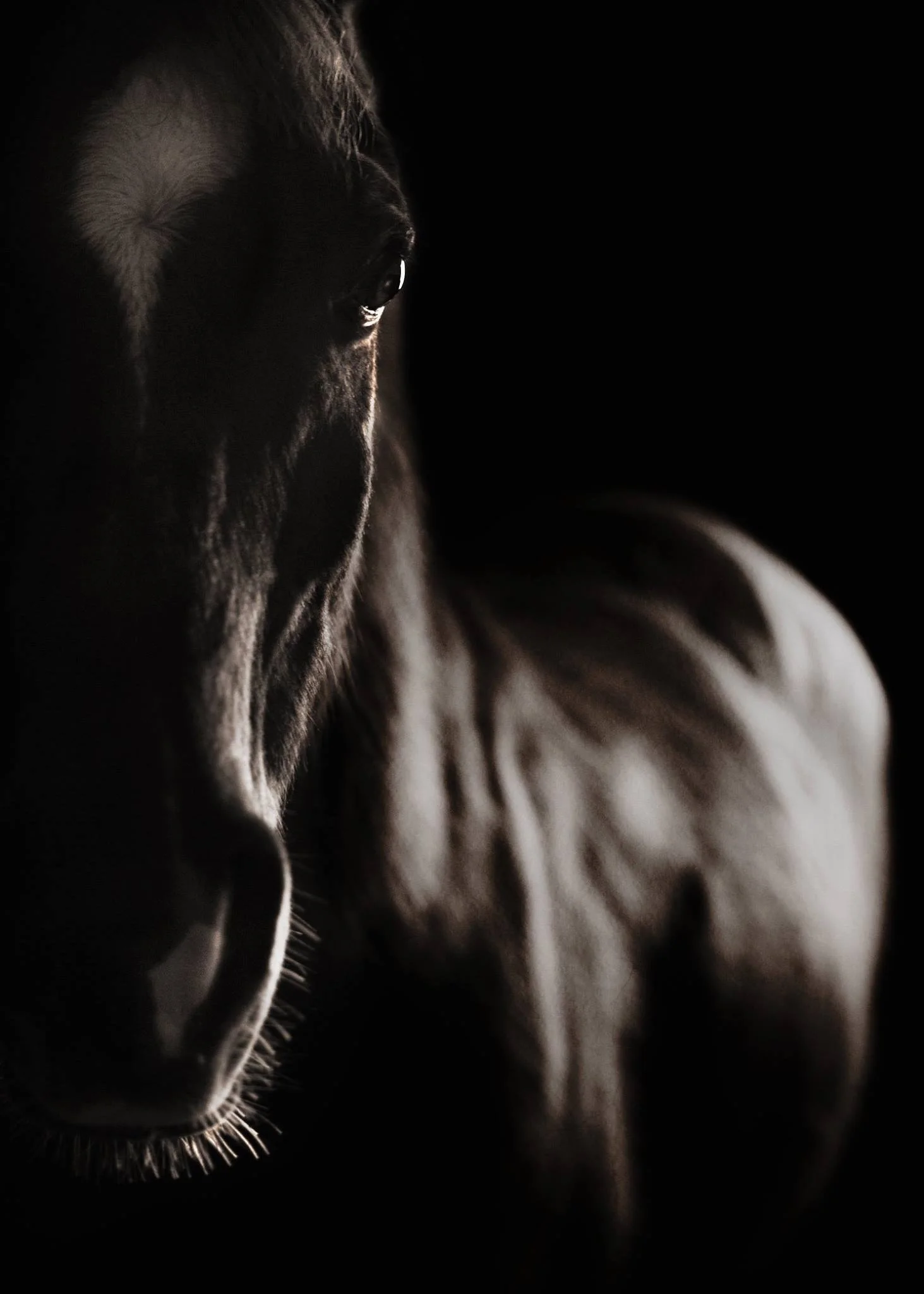 IMG_3856 flash cn.JPG