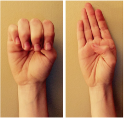The Brain in the Palm of your Hand: Dan Siegel’s Hand Model