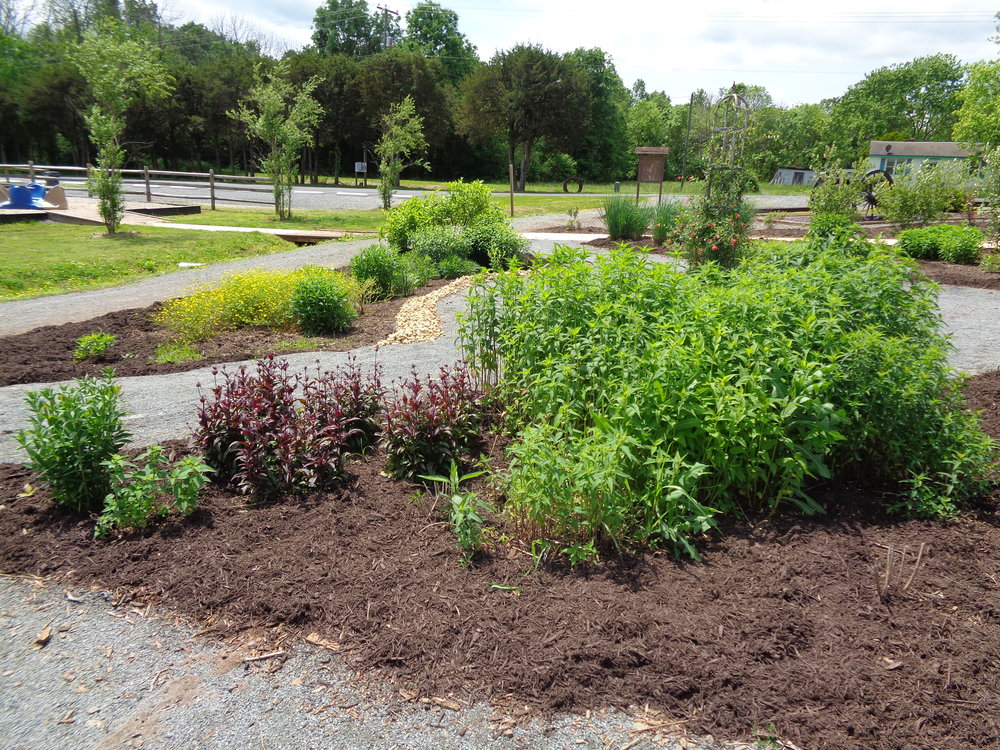 Lenn Park 3.jpg
