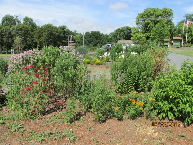 Lenn Park 8.jpg
