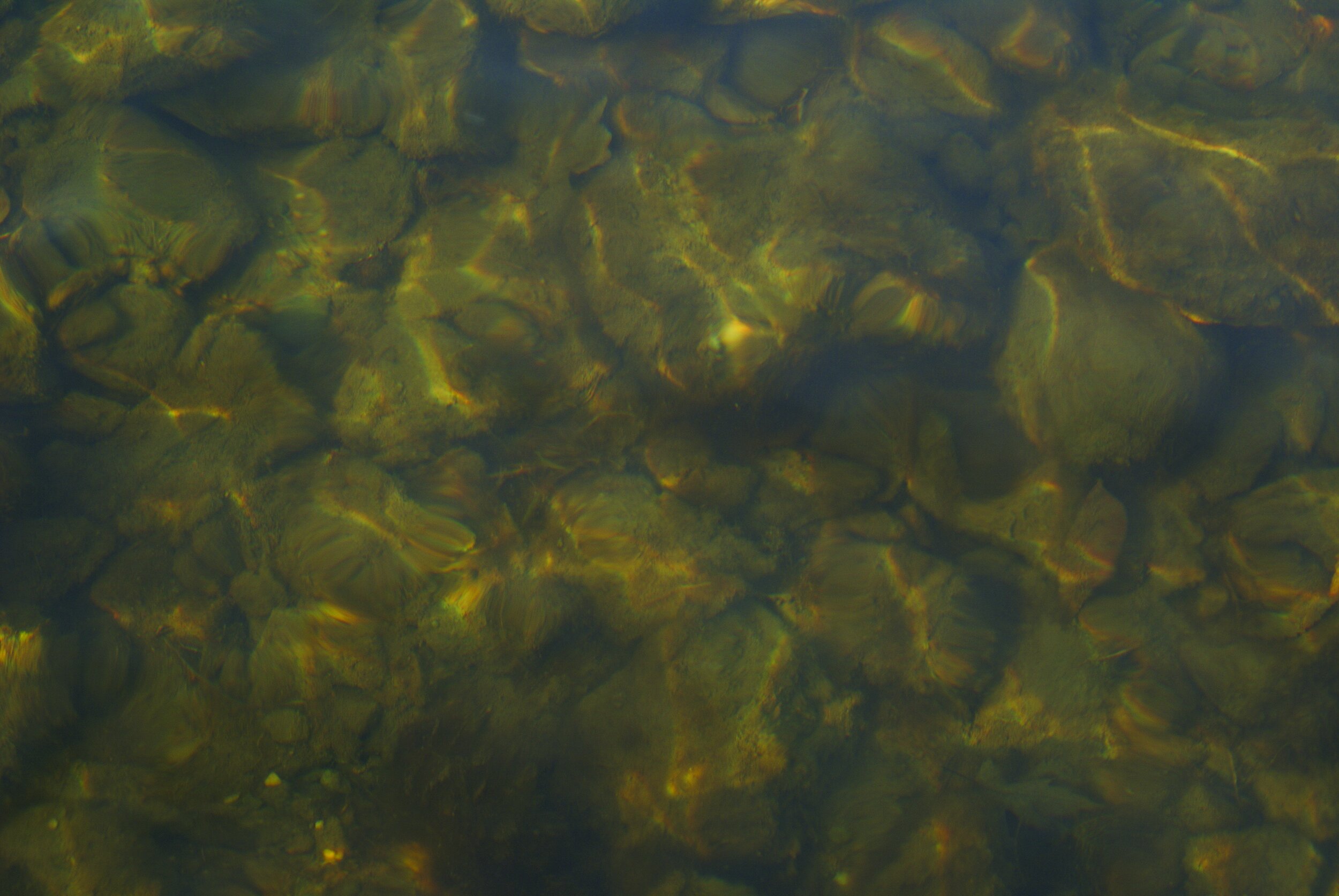 Megan+F In+the+Water+documentation