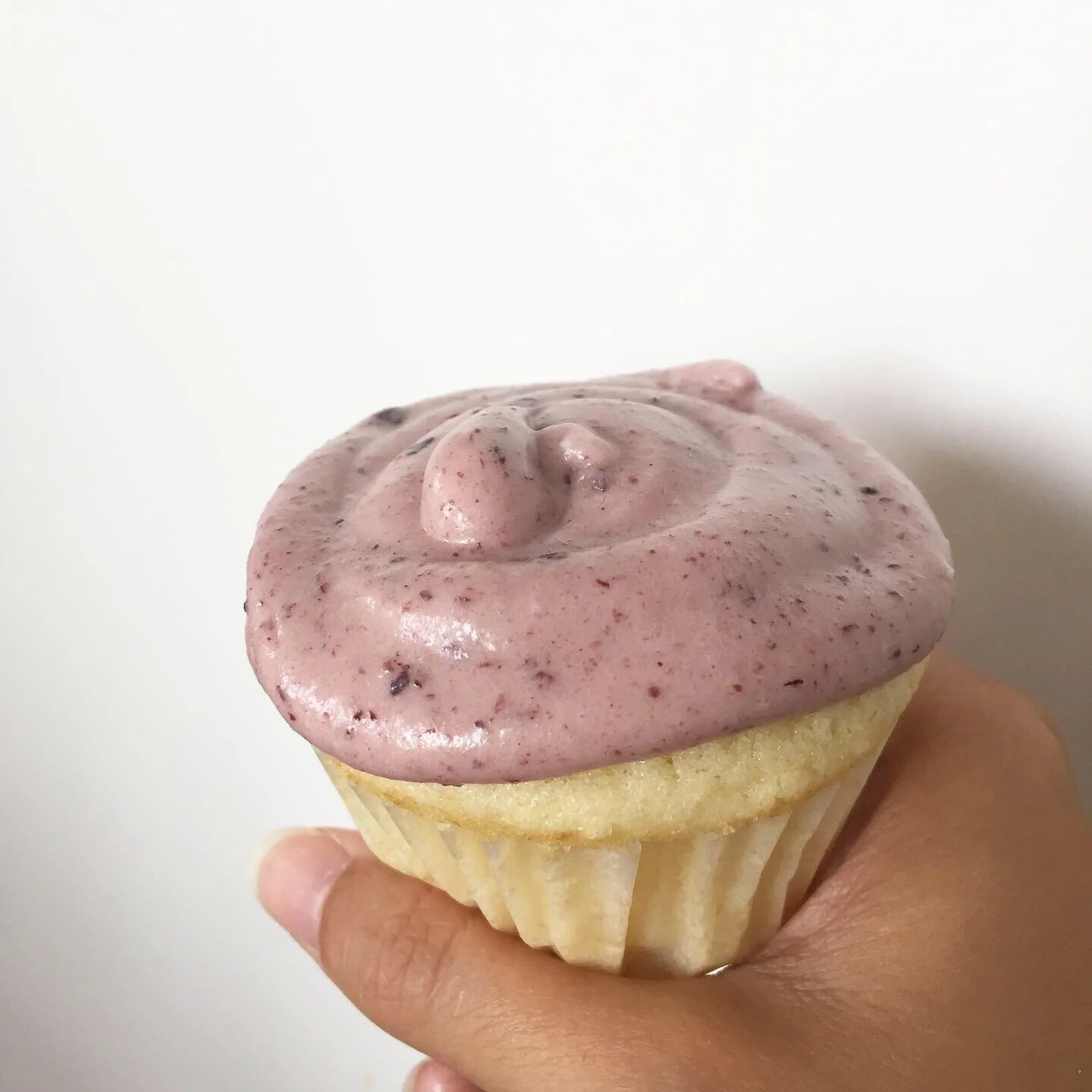 Lemon Cupcakes with Saskatoon Berry Jam Cream Cheese Frosting