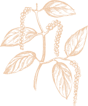 Kuurna