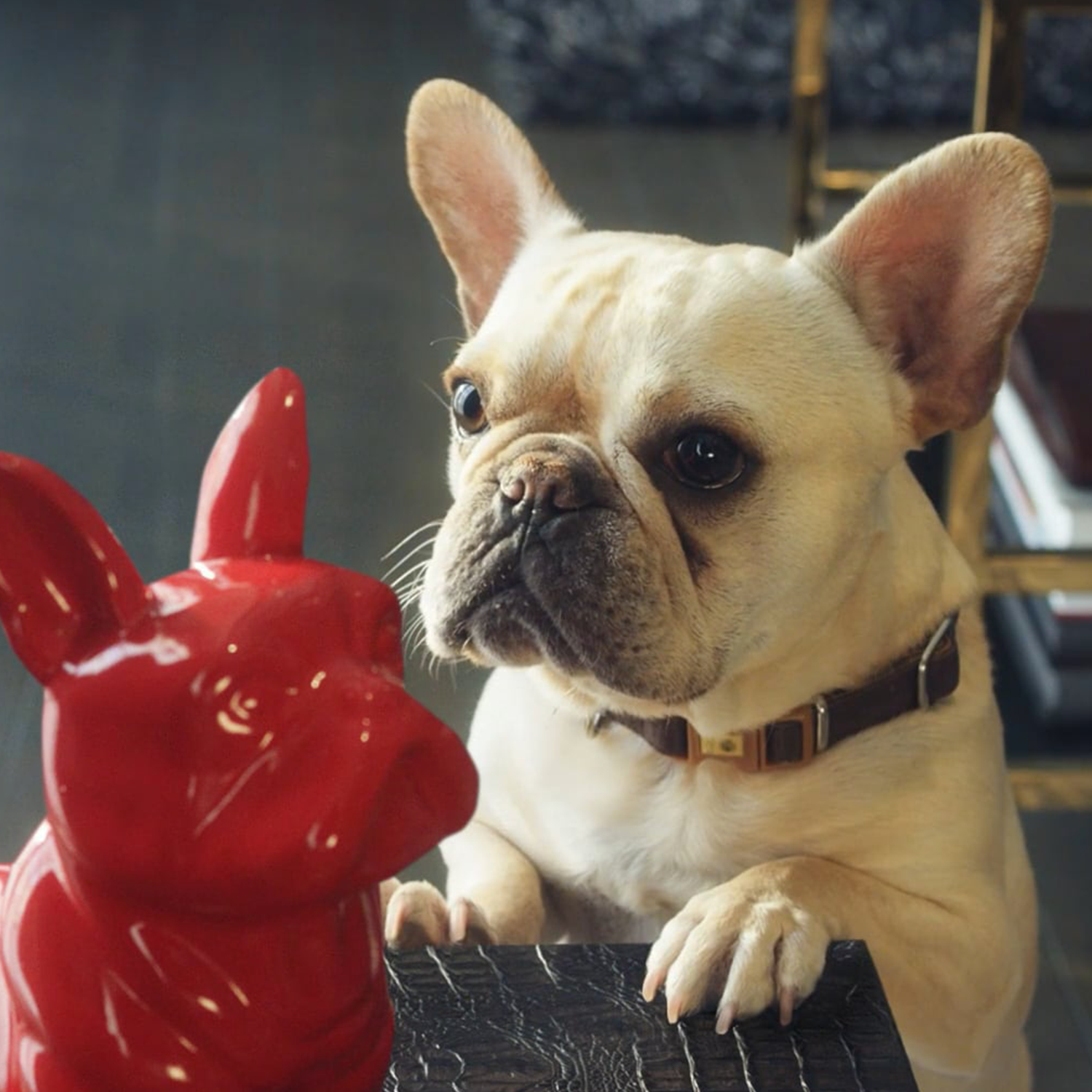 HomeGoods | Can't Have This