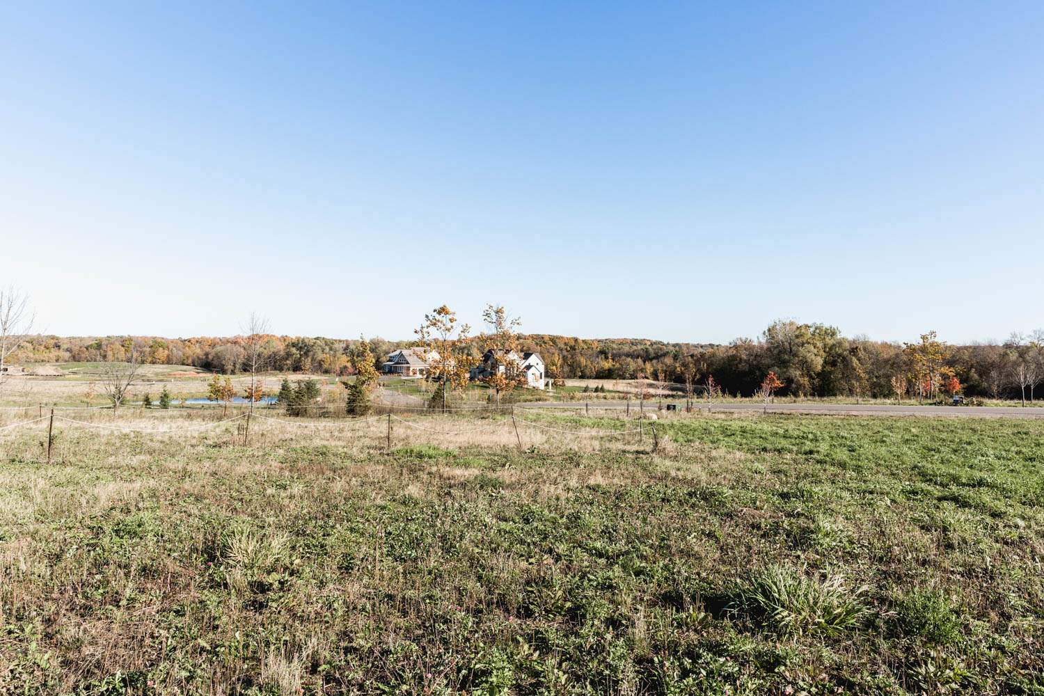 Lot 103 — View North