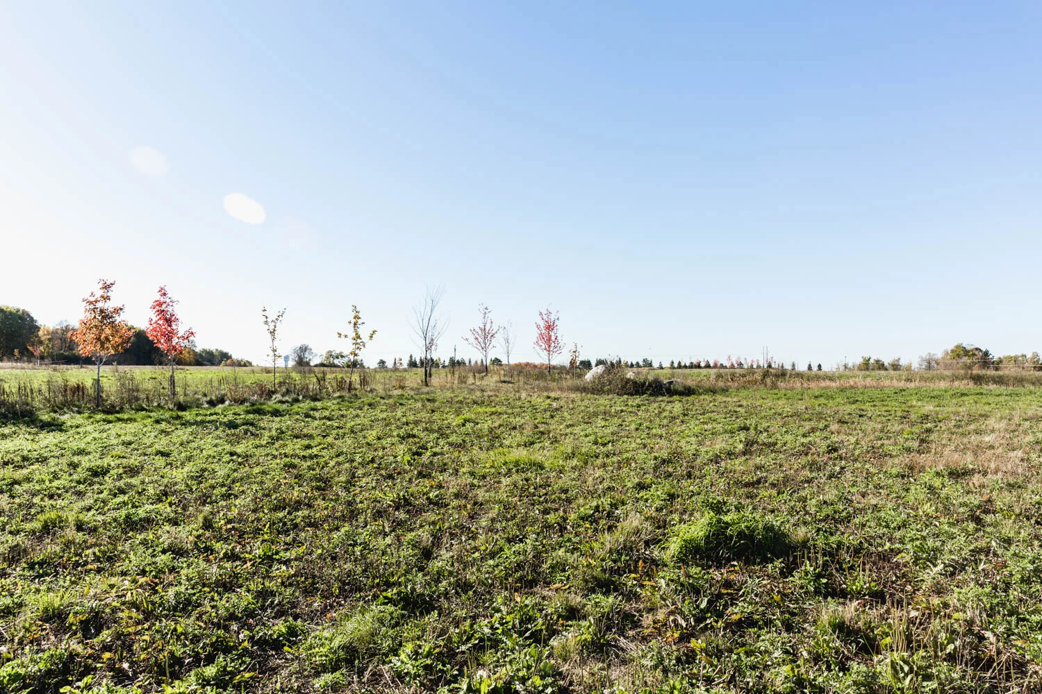 Lot 103 — View South
