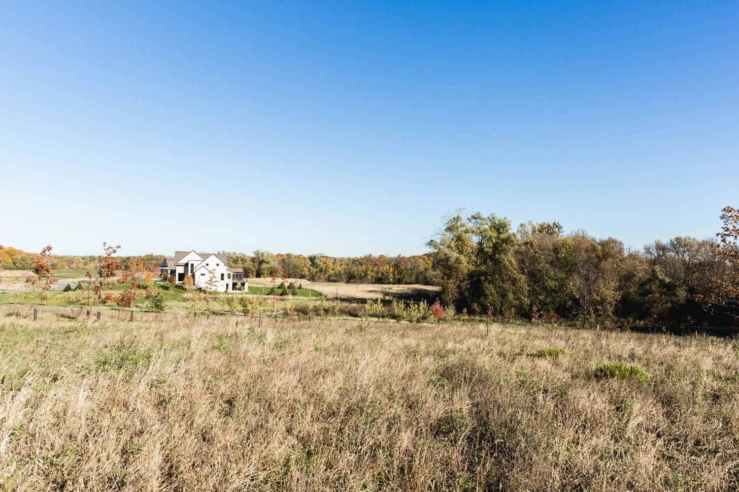 Lot 105 — View North